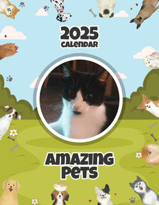 Amazing Pets: 2025 Wall Calendar (Pre-Order)