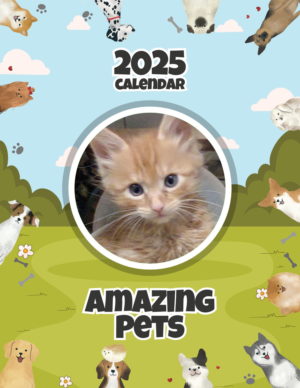 Amazing Pets: 2025 Wall Calendar (Pre-Order)