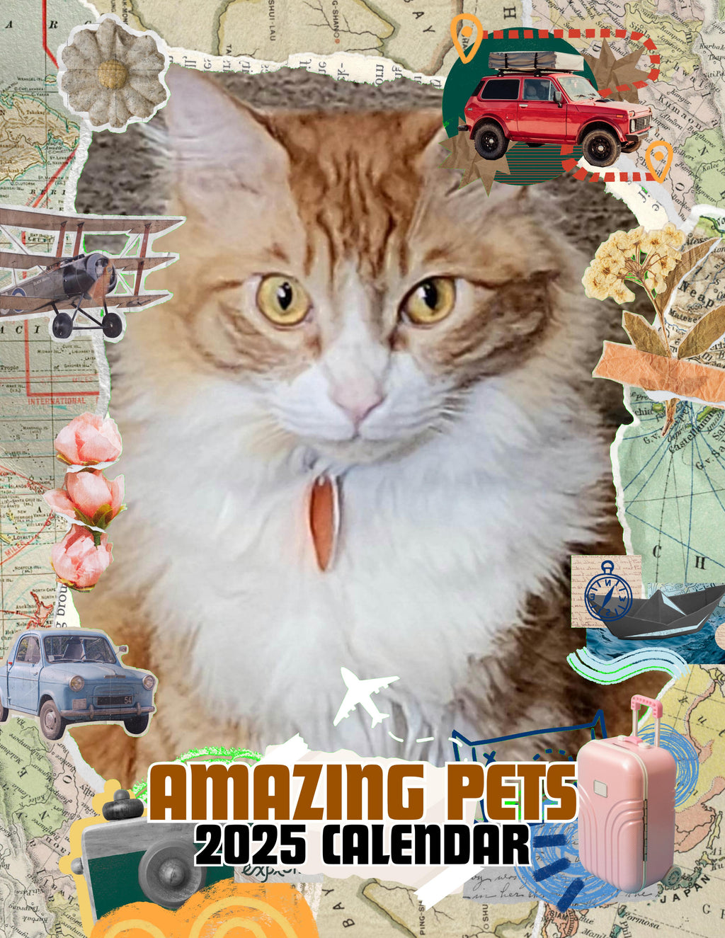 Amazing Pets: 2025 Wall Calendar (Pre-Order)