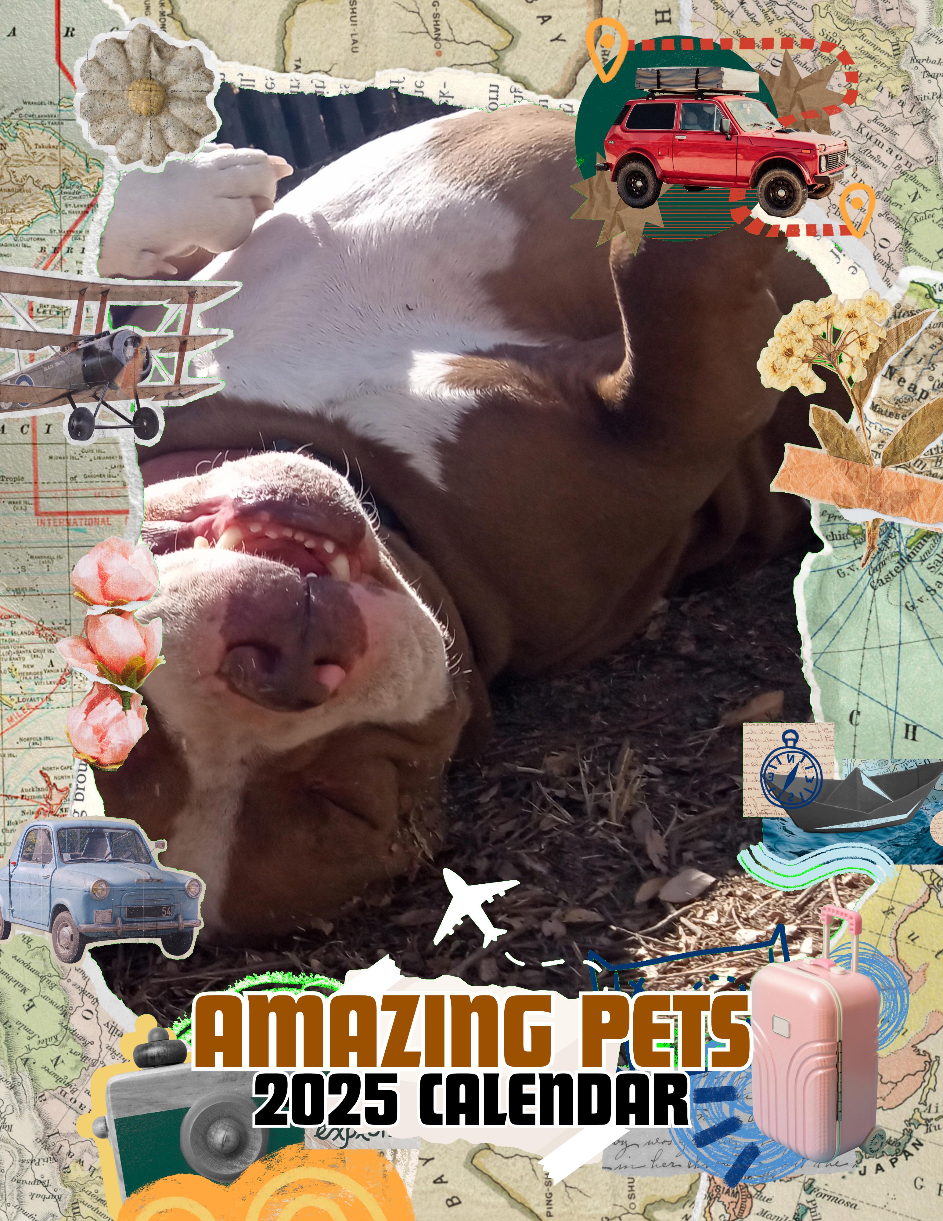 Amazing Pets: 2025 Wall Calendar (Pre-Order)