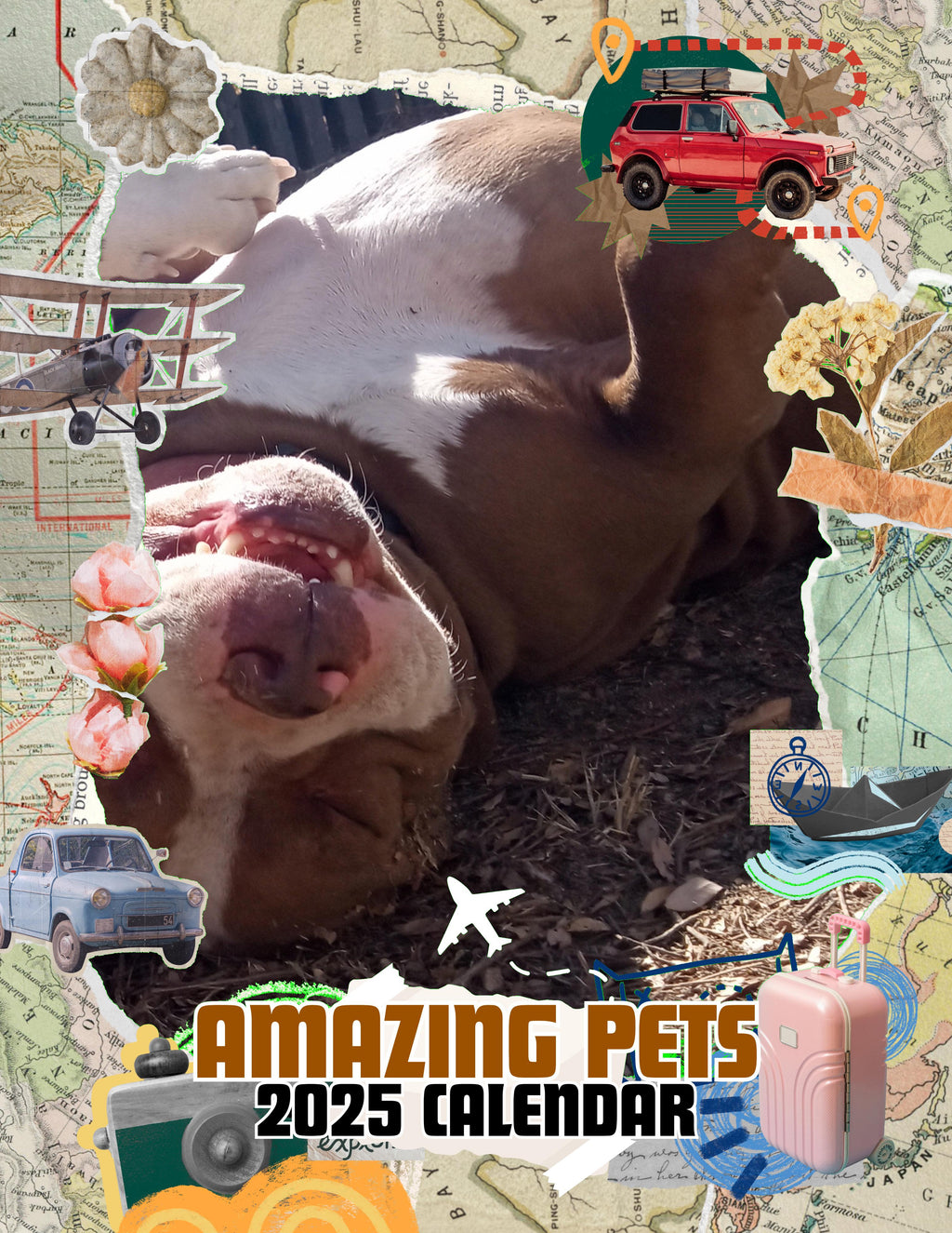 Amazing Pets: 2025 Wall Calendar (Pre-Order)