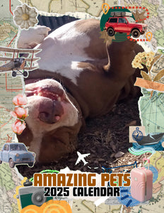 Amazing Pets: 2025 Wall Calendar (Pre-Order)