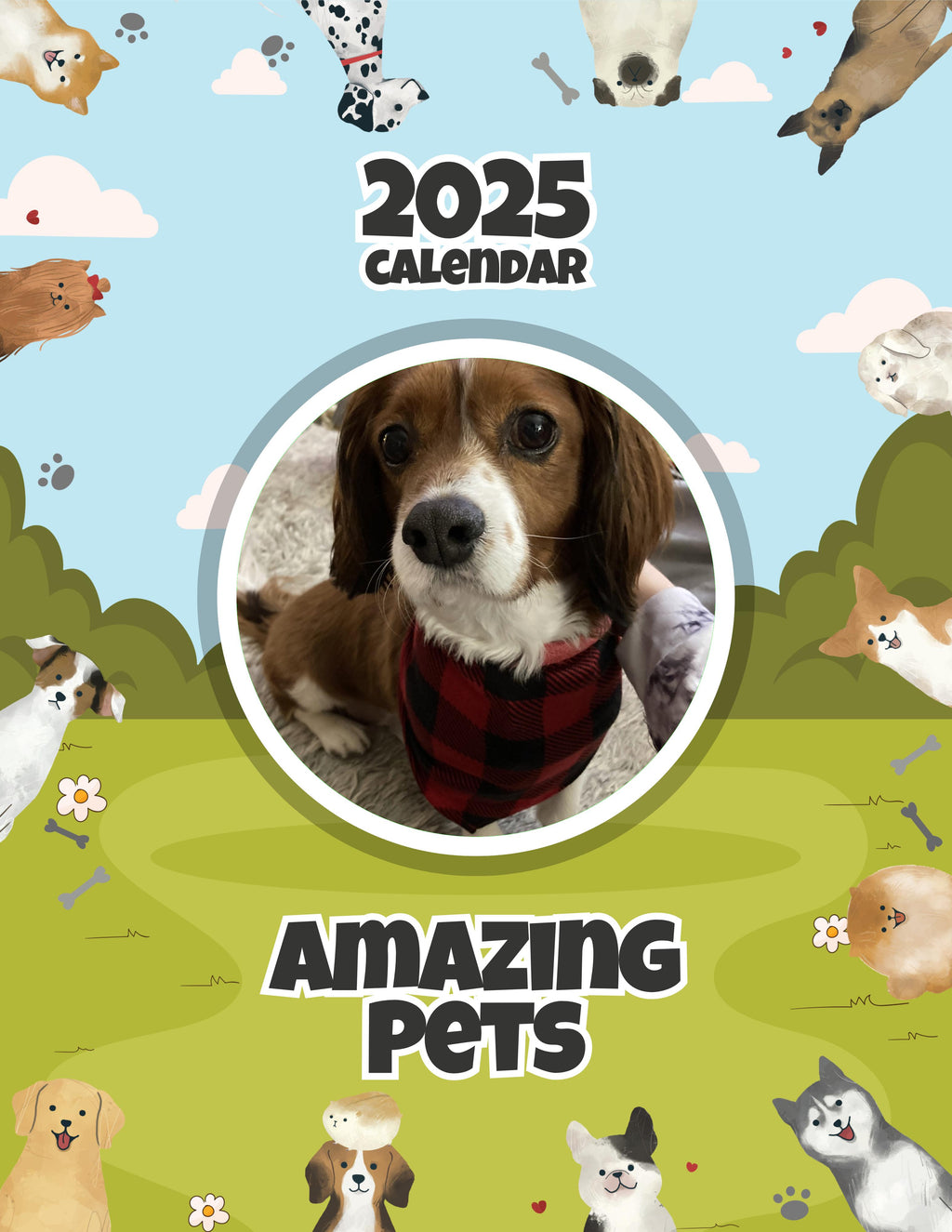 Amazing Pets: 2025 Wall Calendar (Pre-Order)