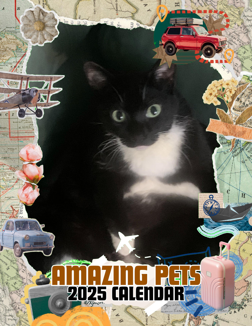 Amazing Pets: 2025 Wall Calendar (Pre-Order)