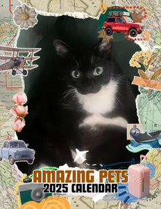 Amazing Pets: 2025 Wall Calendar (Pre-Order)