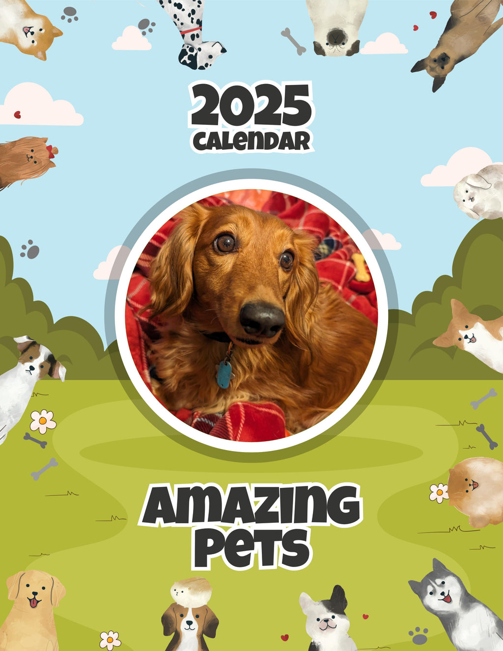 Amazing Pets: 2025 Wall Calendar (Pre-Order)