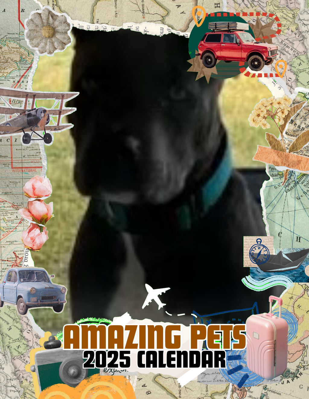 Amazing Pets: 2025 Wall Calendar (Pre-Order)
