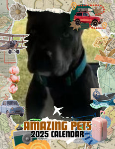 Amazing Pets: 2025 Wall Calendar (Pre-Order)