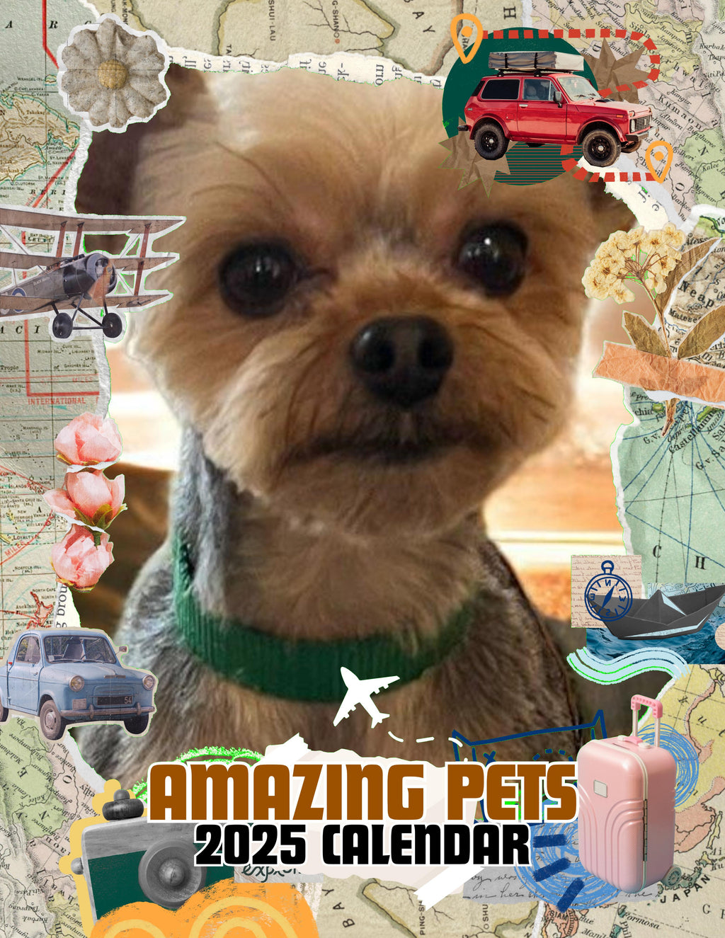 Amazing Pets: 2025 Wall Calendar (Pre-Order)