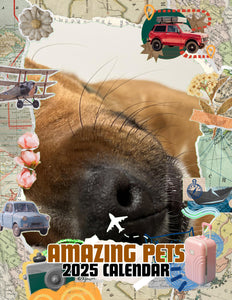 Amazing Pets: 2025 Wall Calendar (Pre-Order)