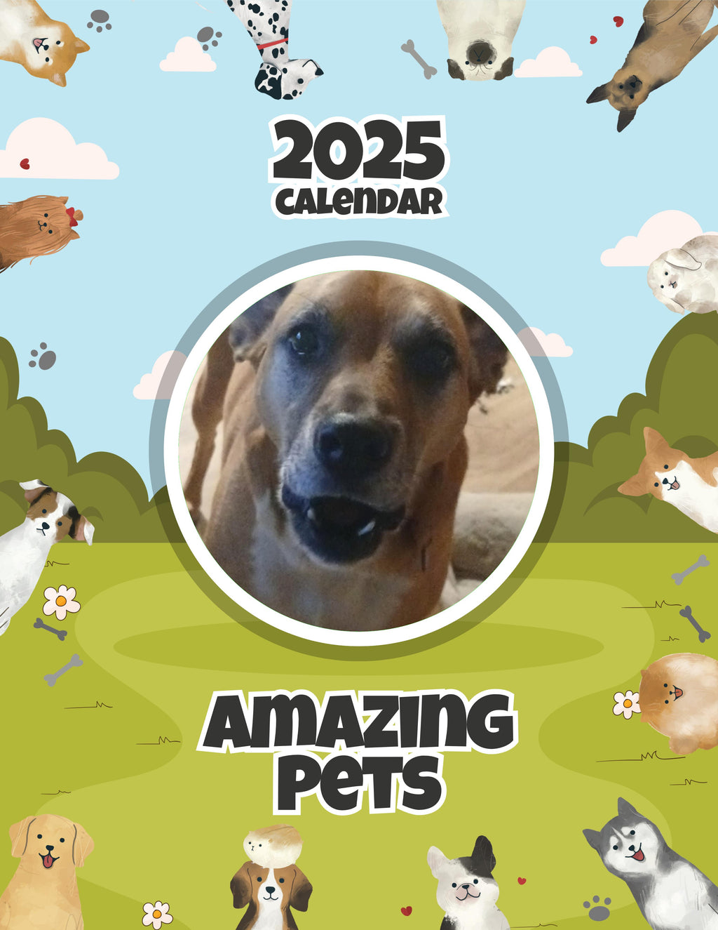 Amazing Pets: 2025 Wall Calendar (Pre-Order)