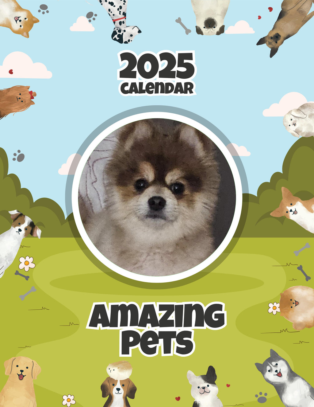 Amazing Pets: 2025 Wall Calendar (Pre-Order)