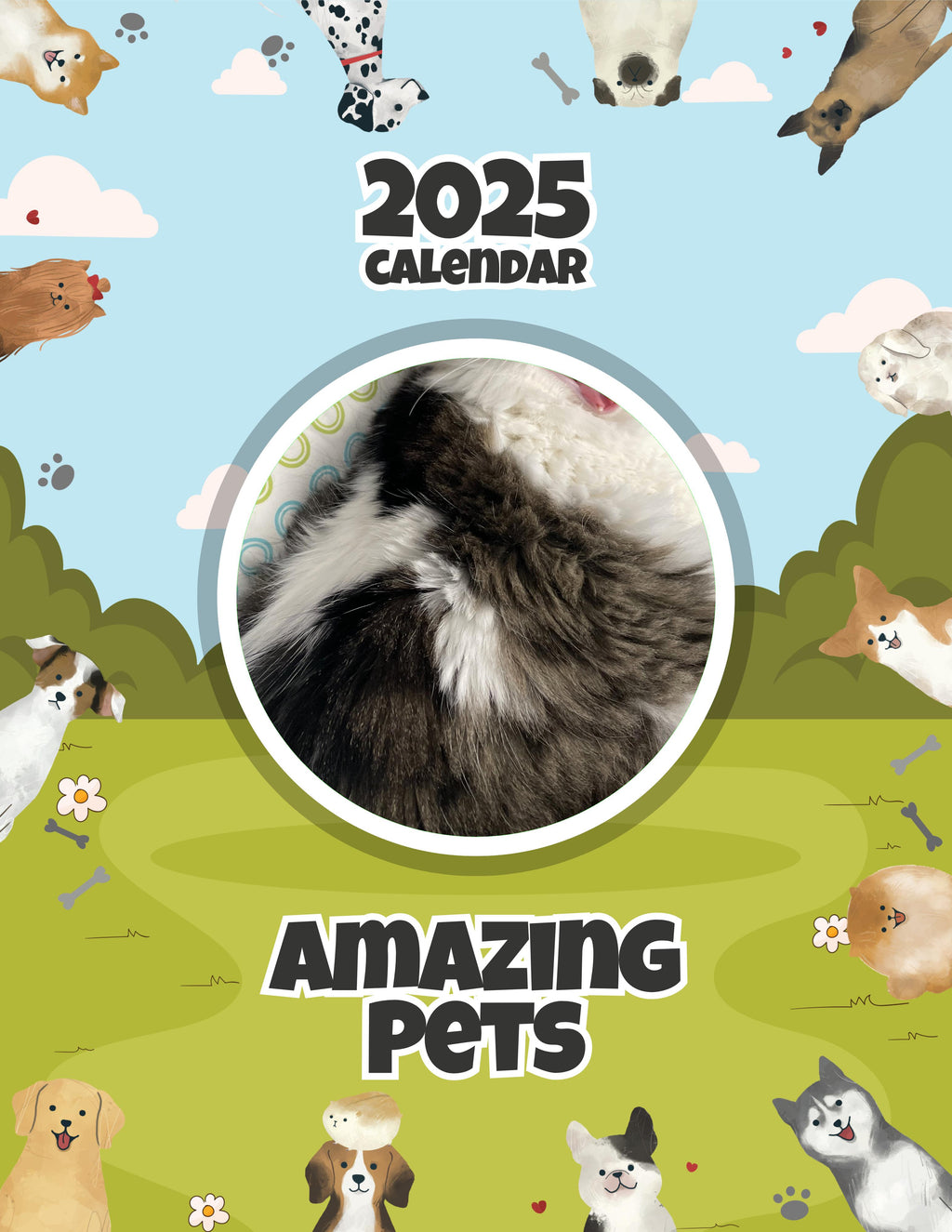 Amazing Pets: 2025 Wall Calendar (Pre-Order)