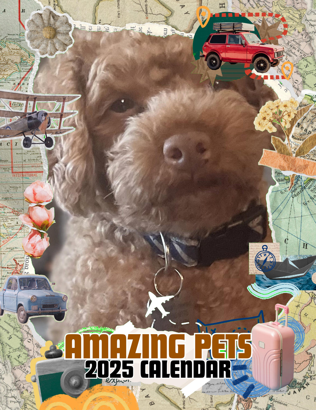Amazing Pets: 2025 Wall Calendar (Pre-Order)