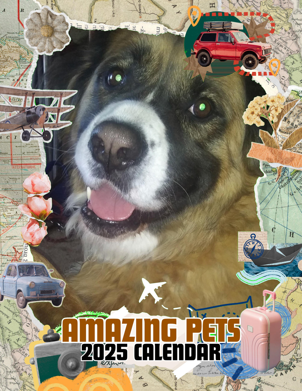 Amazing Pets: 2025 Wall Calendar (Pre-Order)