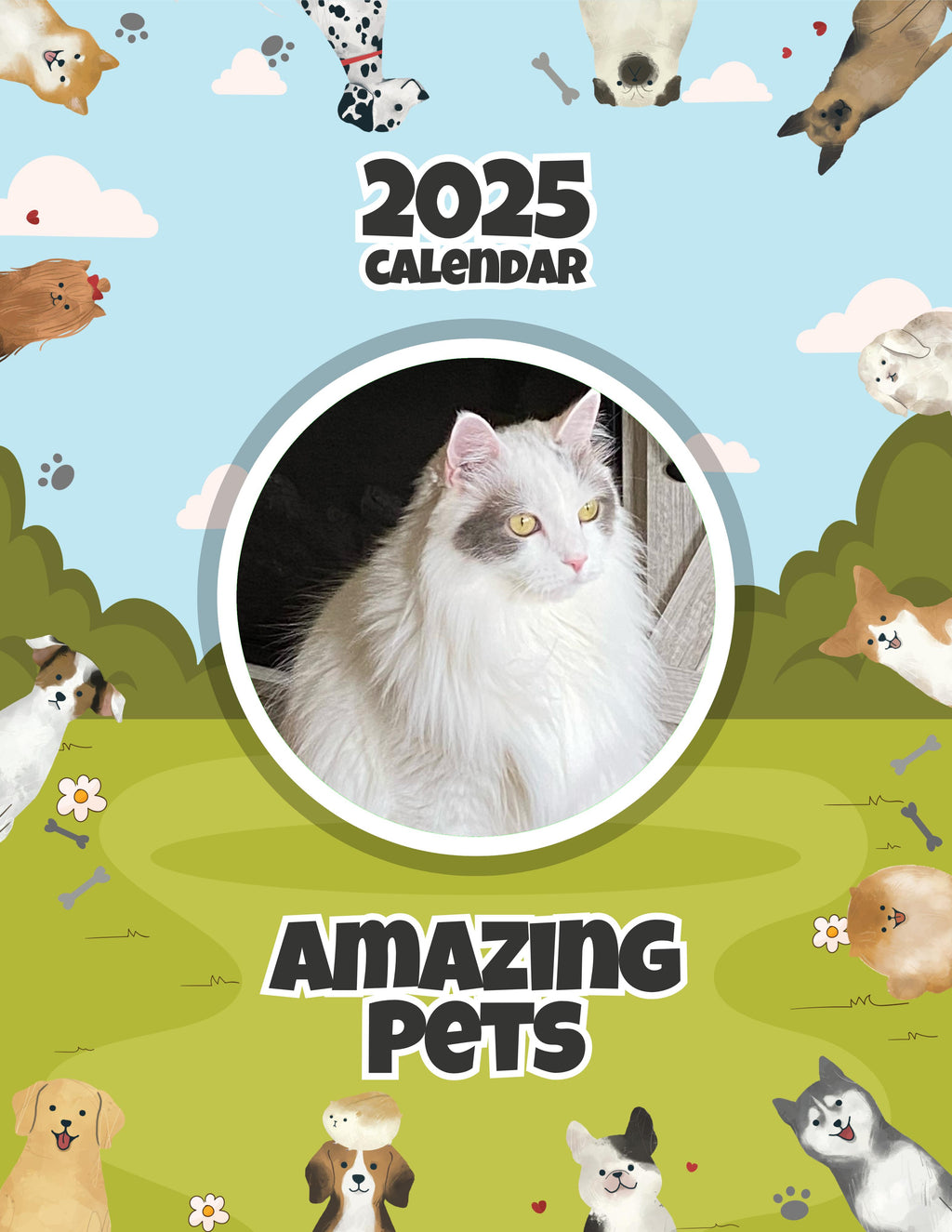 Amazing Pets: 2025 Wall Calendar (Pre-Order)