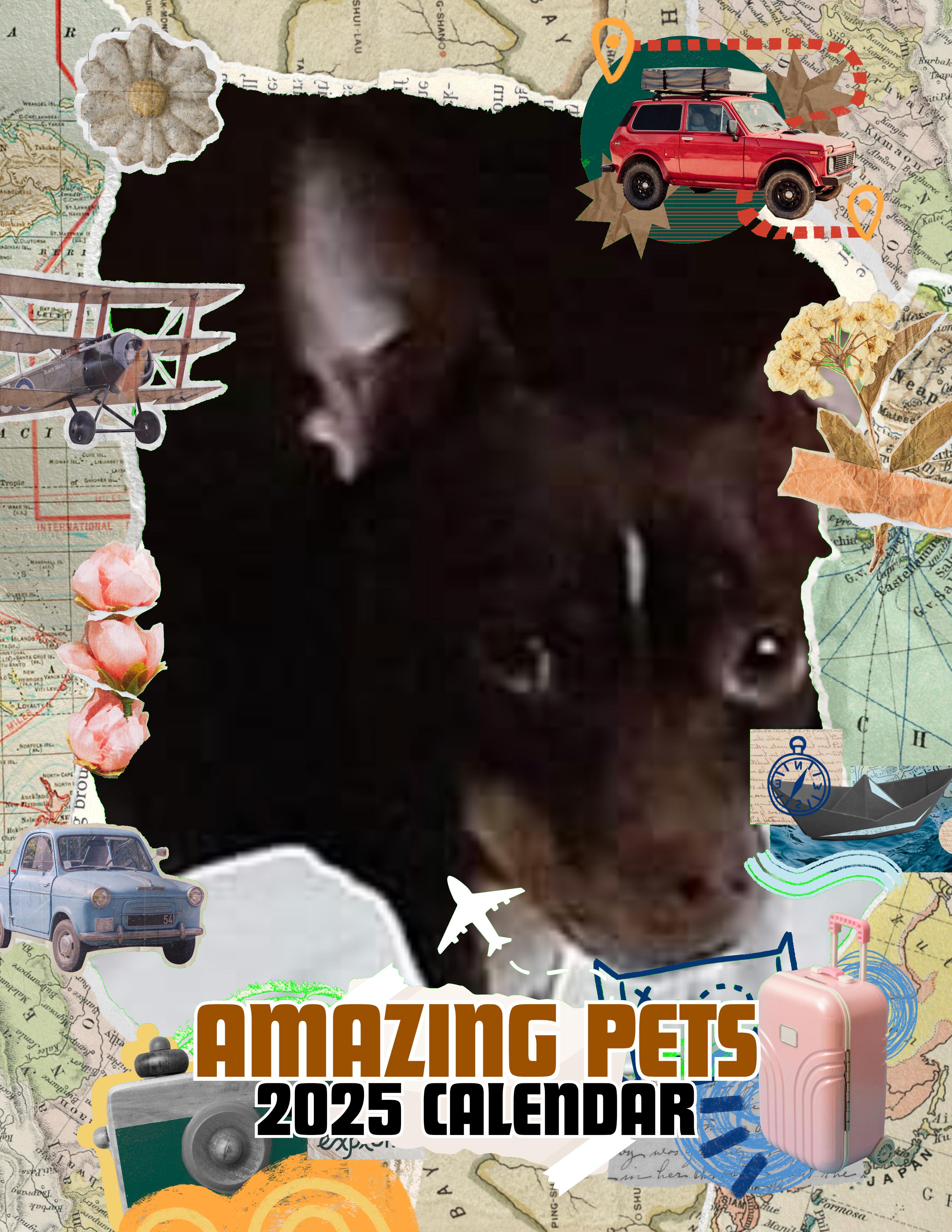 Amazing Pets: 2025 Wall Calendar (Pre-Order)