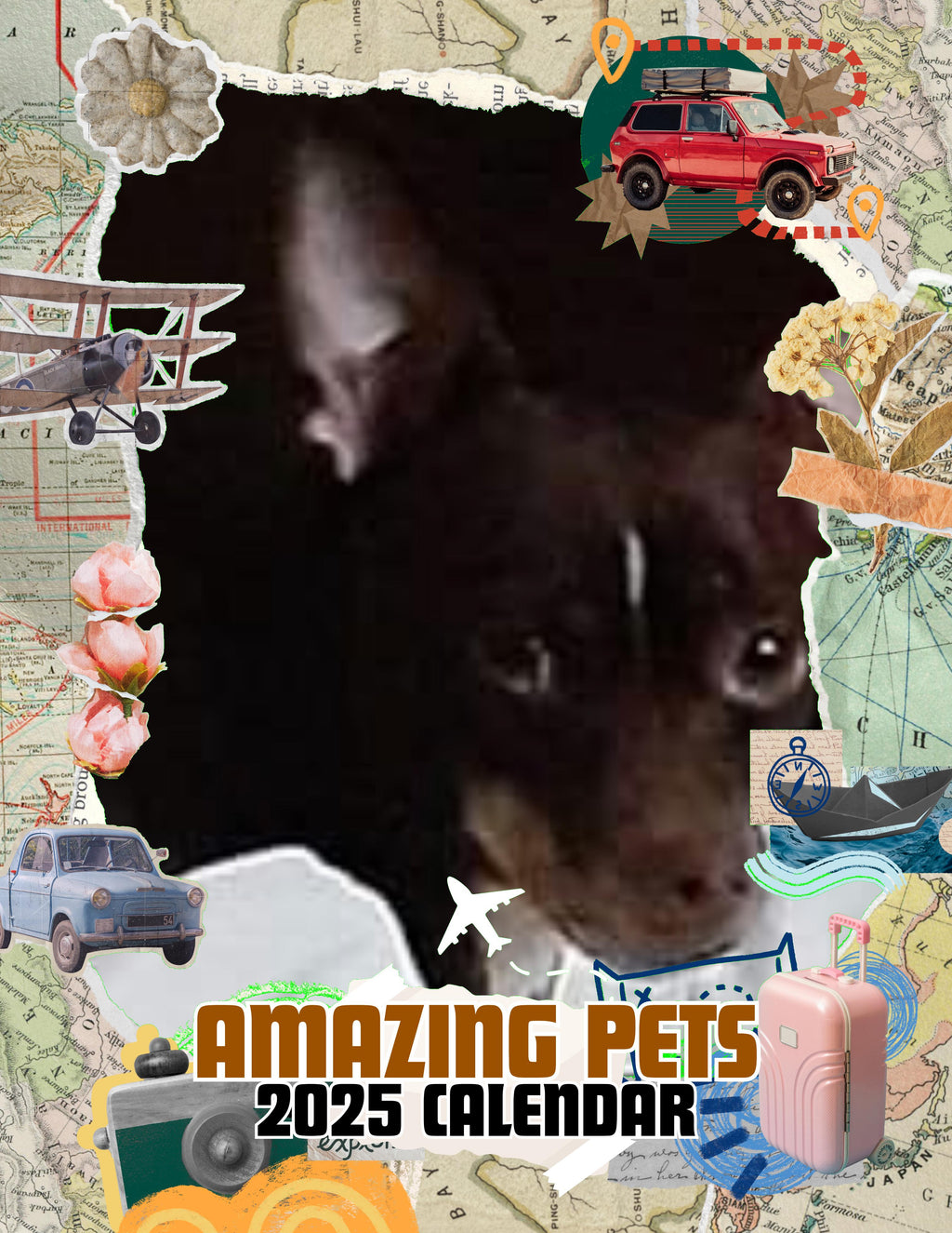 Amazing Pets: 2025 Wall Calendar (Pre-Order)