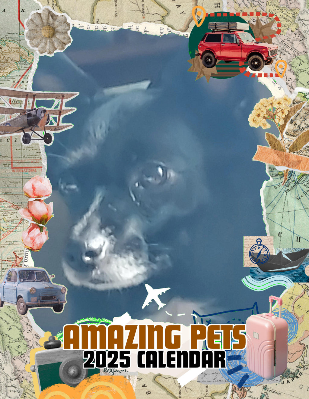 Amazing Pets: 2025 Wall Calendar (Pre-Order)
