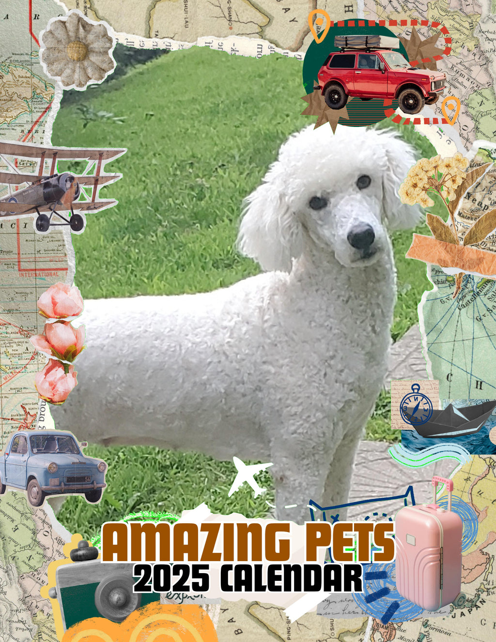 Amazing Pets: 2025 Wall Calendar (Pre-Order)
