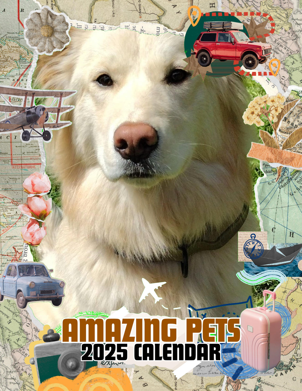 Amazing Pets: 2025 Wall Calendar (Pre-Order)