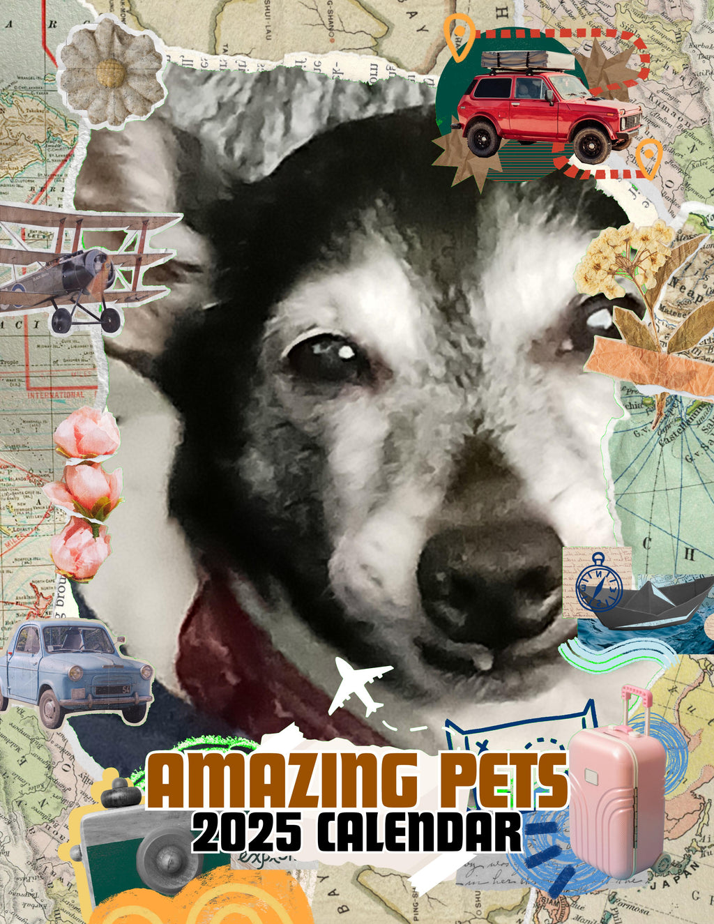 Amazing Pets: 2025 Wall Calendar (Pre-Order)