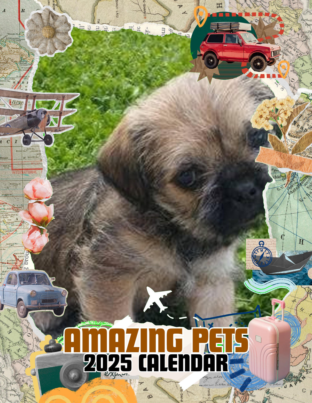 Amazing Pets: 2025 Wall Calendar (Pre-Order)