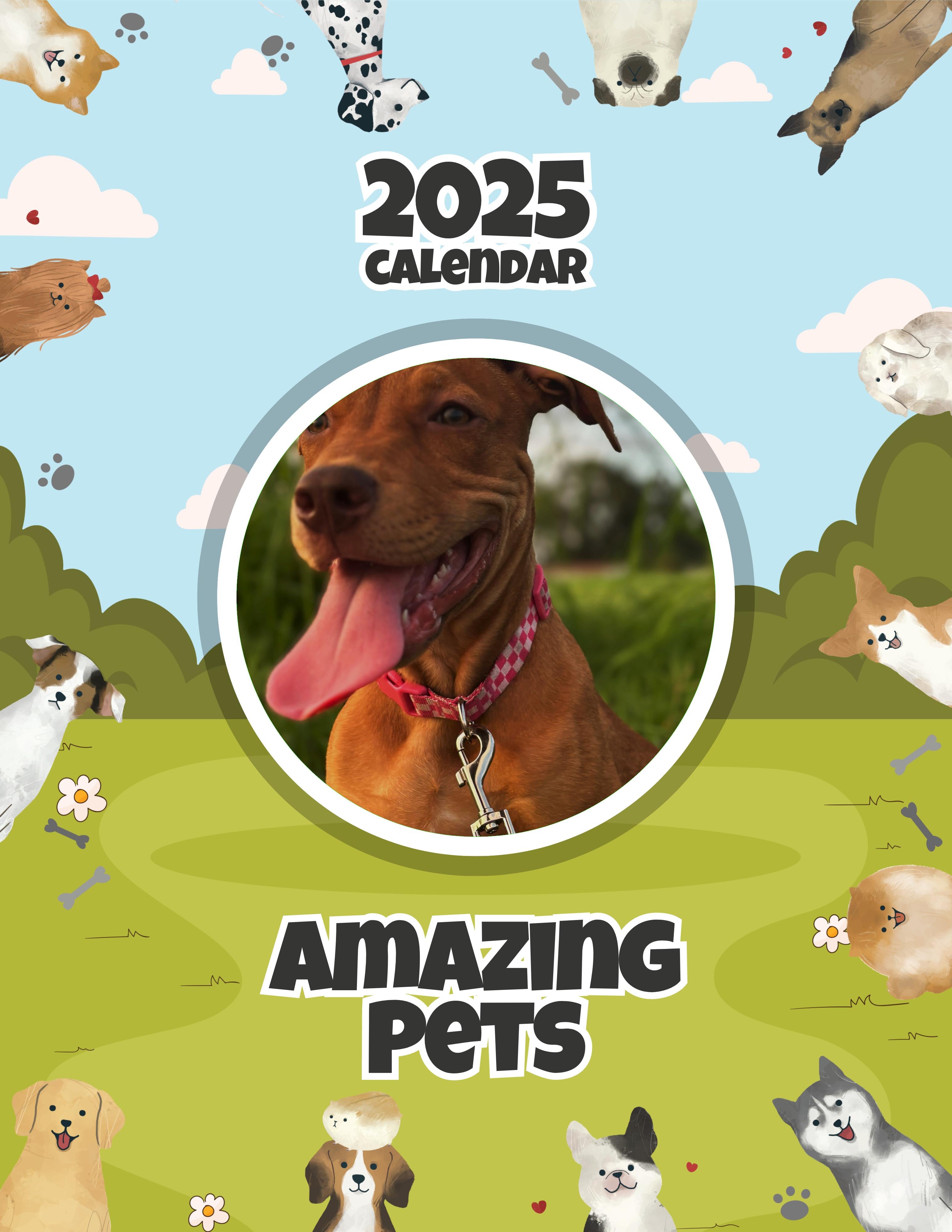 Amazing Pets: 2025 Wall Calendar (Pre-Order)