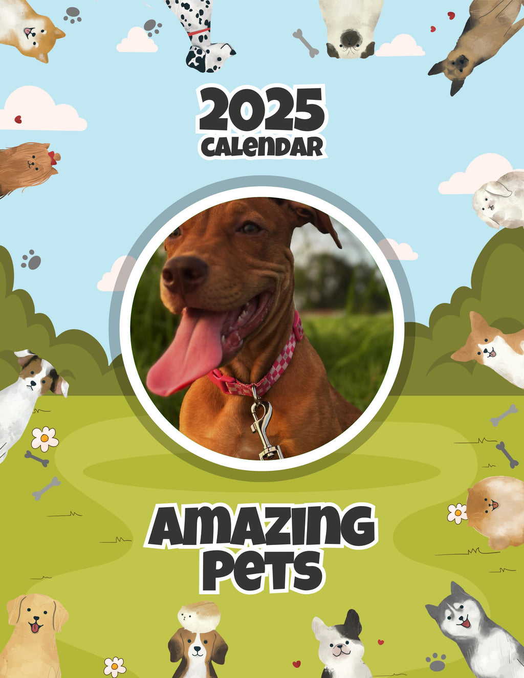 Amazing Pets: 2025 Wall Calendar (Pre-Order)