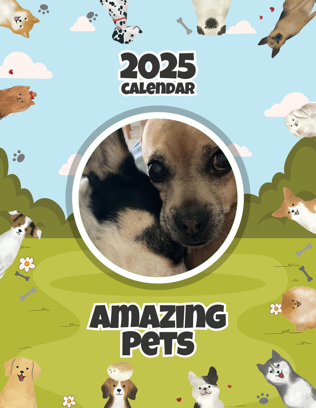 Amazing Pets: 2025 Wall Calendar (Pre-Order)