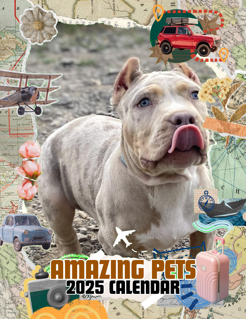 Amazing Pets: 2025 Wall Calendar (Pre-Order)