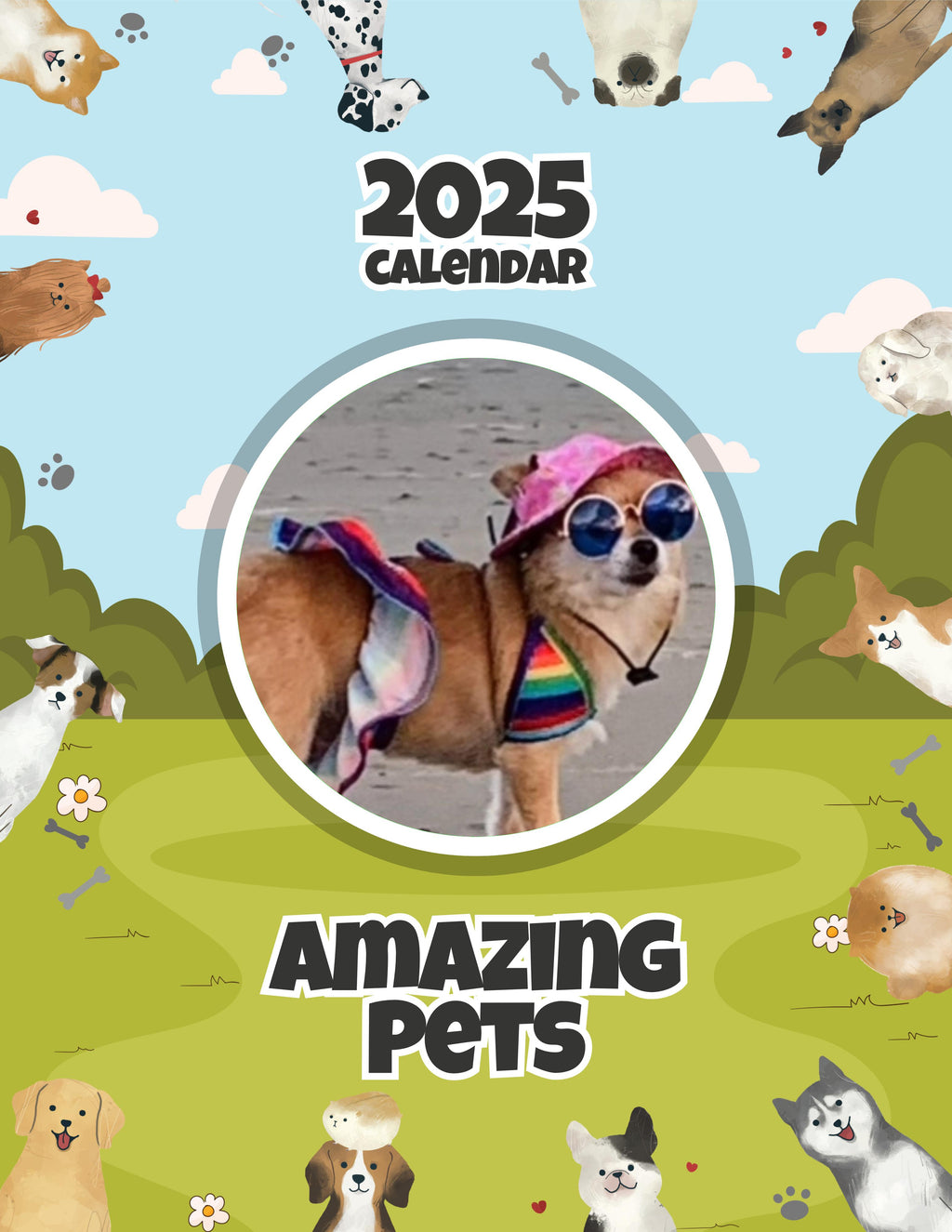 Amazing Pets: 2025 Wall Calendar (Pre-Order)