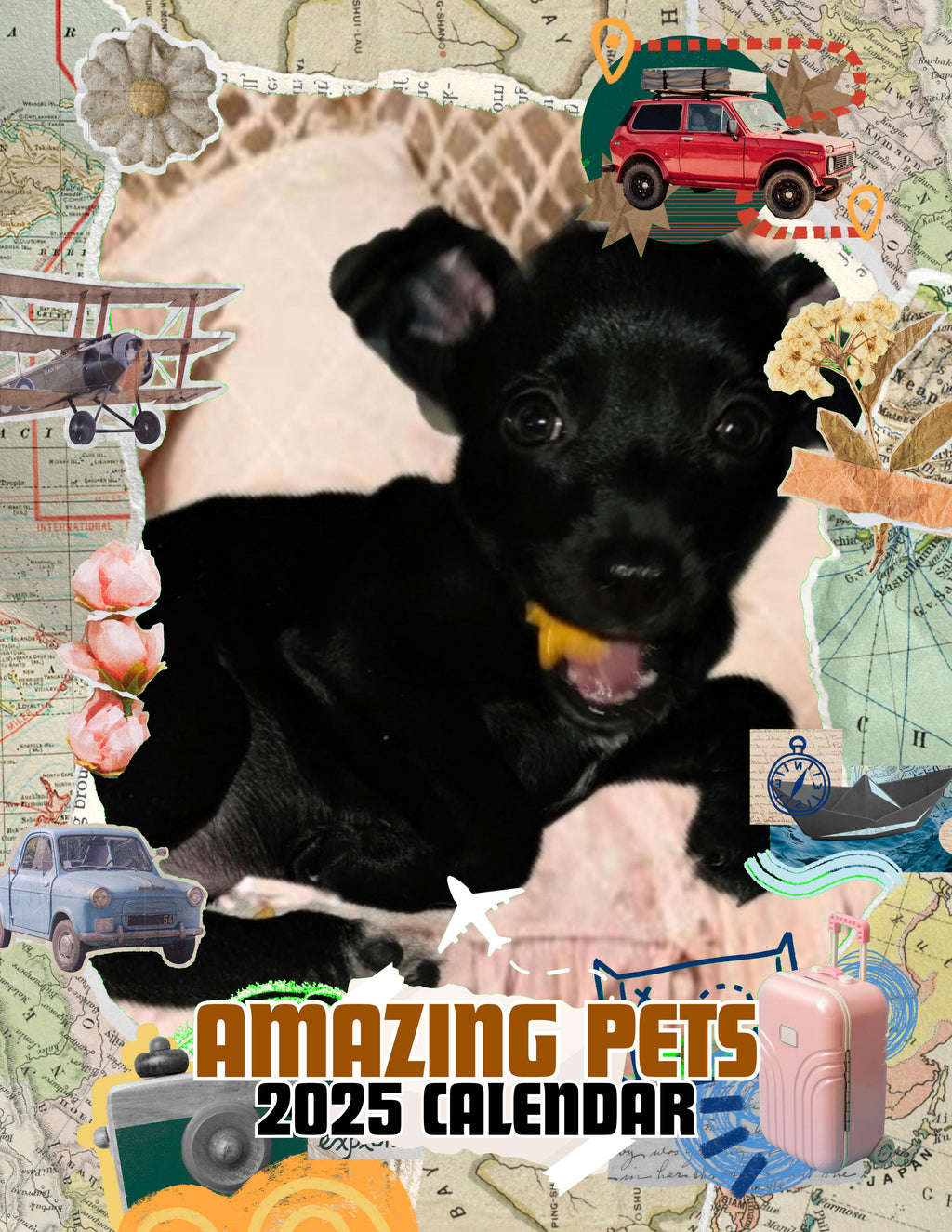 Amazing Pets: 2025 Wall Calendar (Pre-Order)
