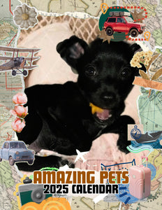 Amazing Pets: 2025 Wall Calendar (Pre-Order)