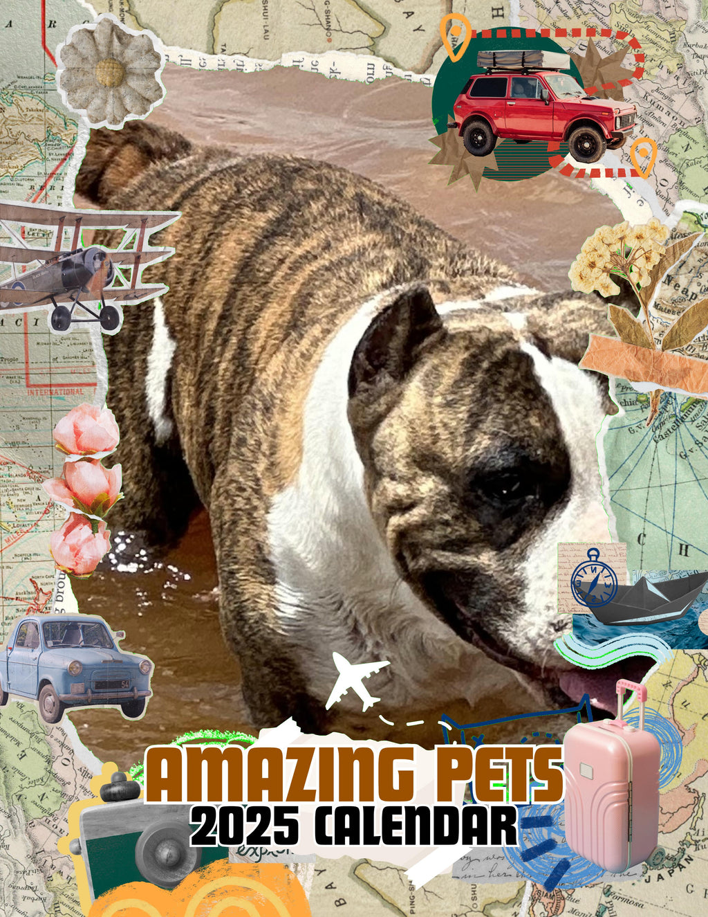 Amazing Pets: 2025 Wall Calendar (Pre-Order)