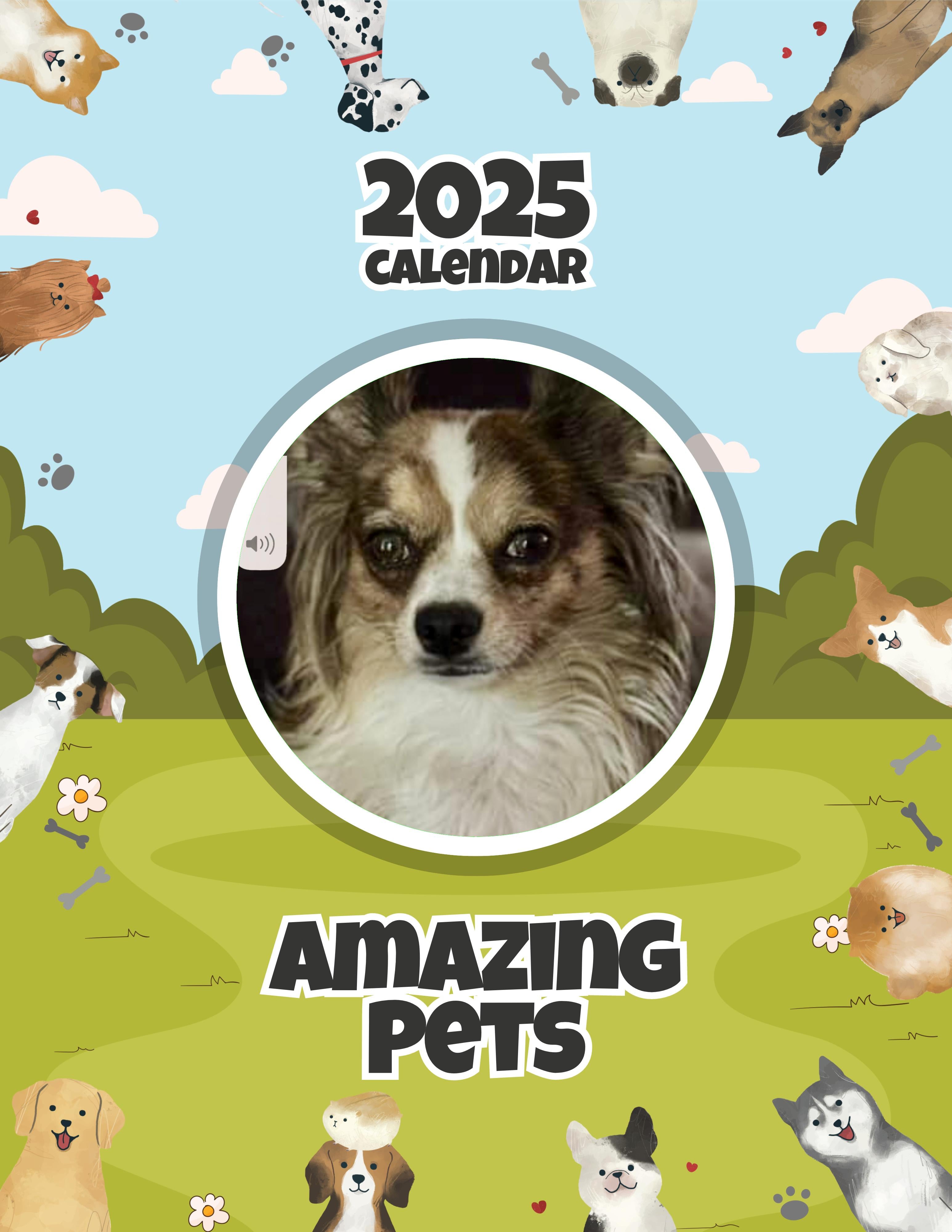 Amazing Pets: 2025 Wall Calendar (Pre-Order)