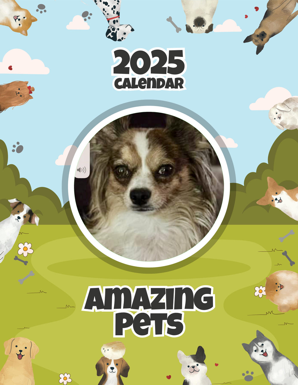 Amazing Pets: 2025 Wall Calendar (Pre-Order)