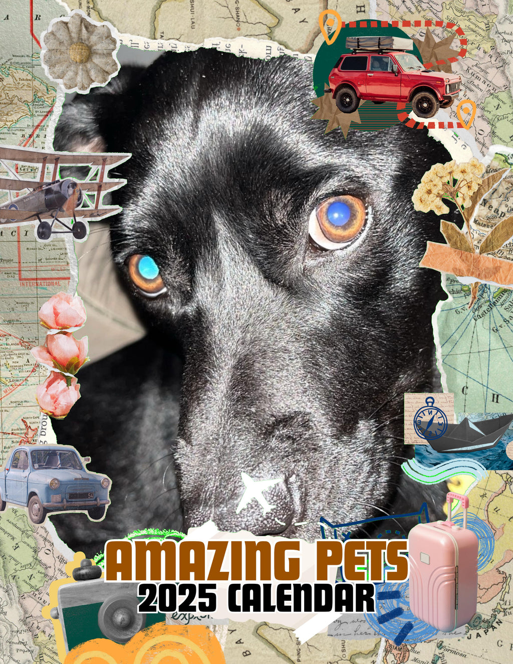 Amazing Pets: 2025 Wall Calendar (Pre-Order)