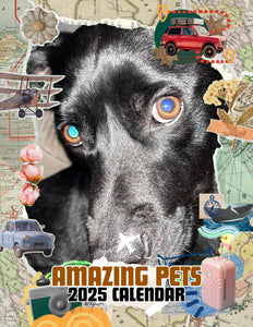 Amazing Pets: 2025 Wall Calendar (Pre-Order)