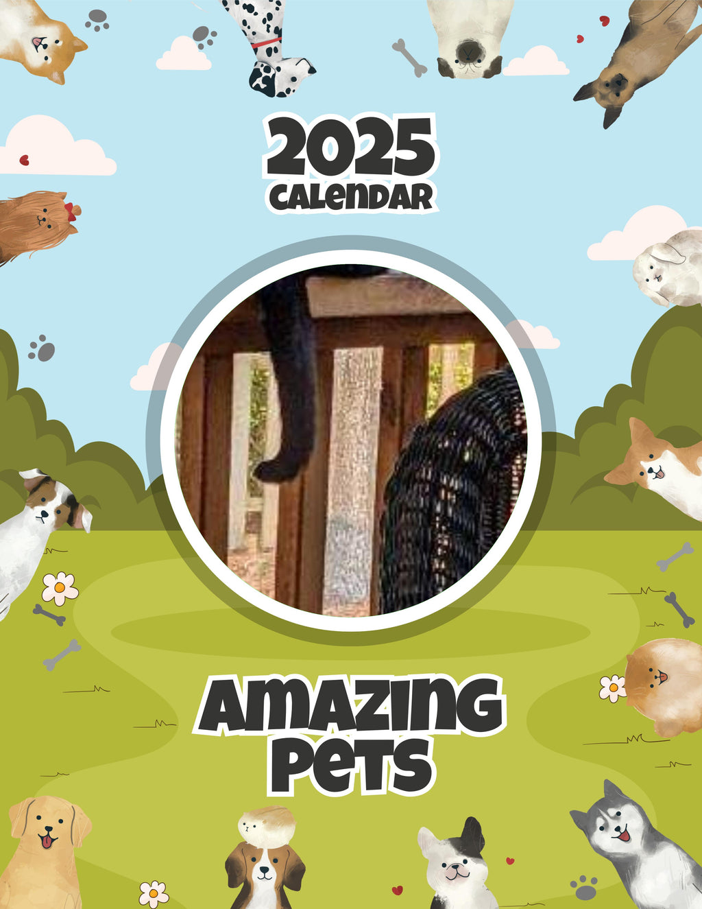 Amazing Pets: 2025 Wall Calendar (Pre-Order)