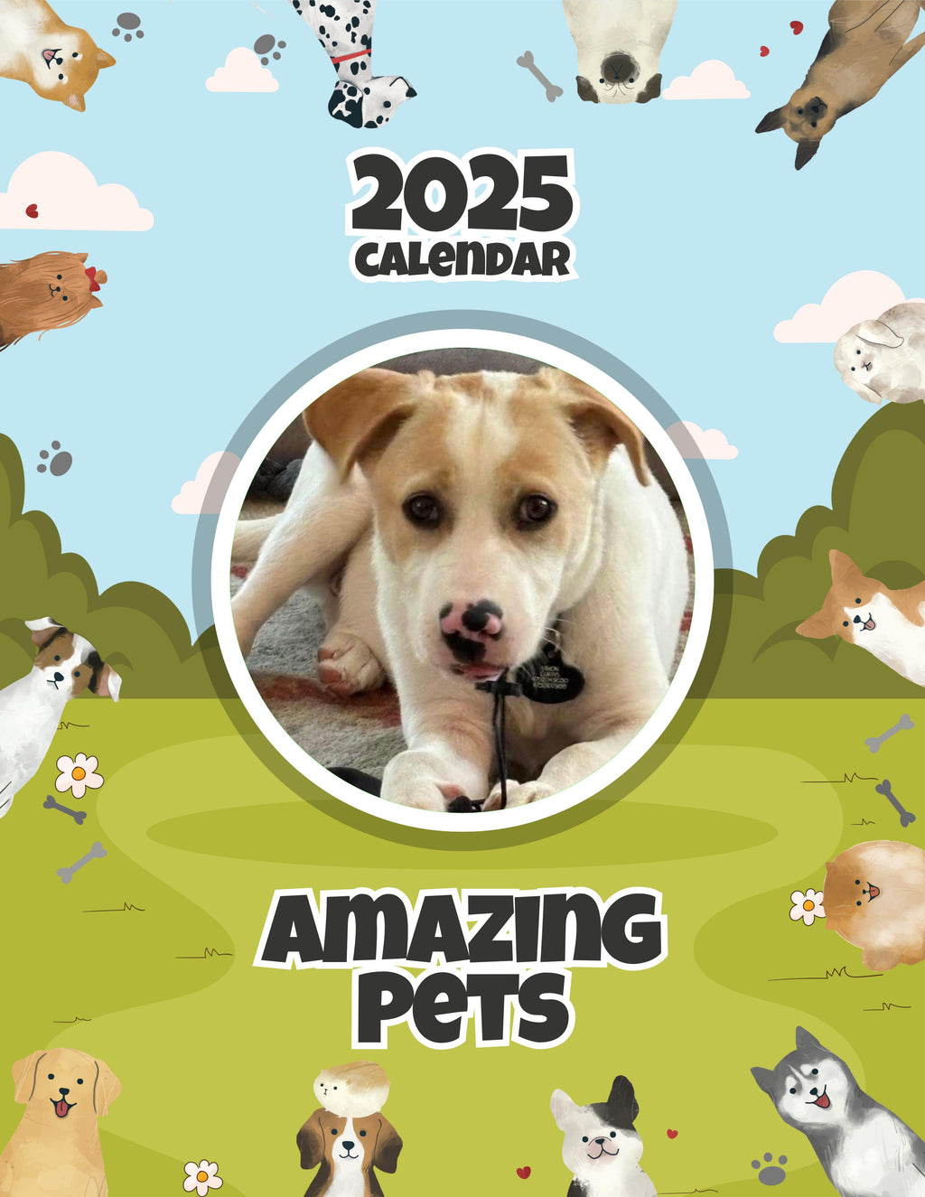 Amazing Pets: 2025 Wall Calendar (Pre-Order)