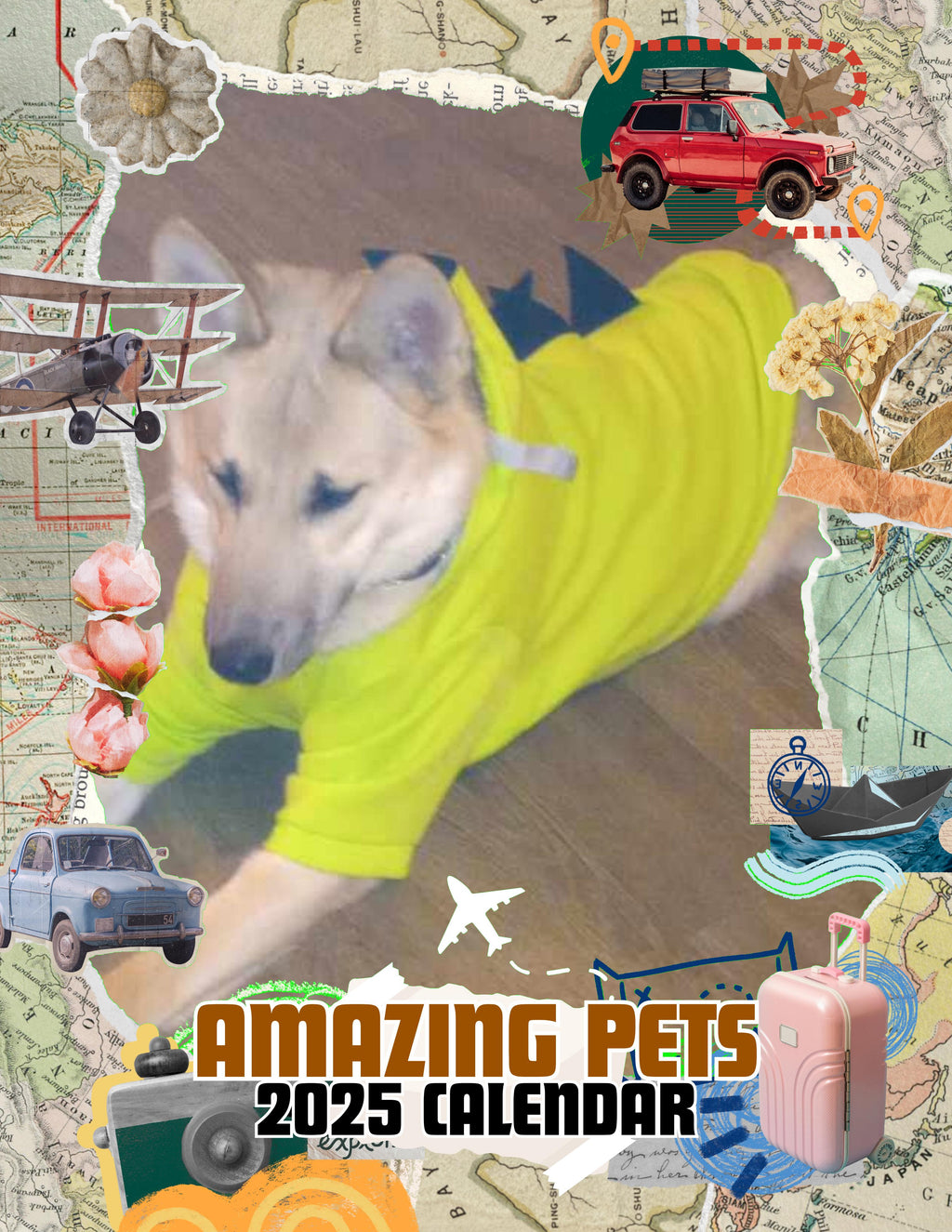 Amazing Pets: 2025 Wall Calendar (Pre-Order)