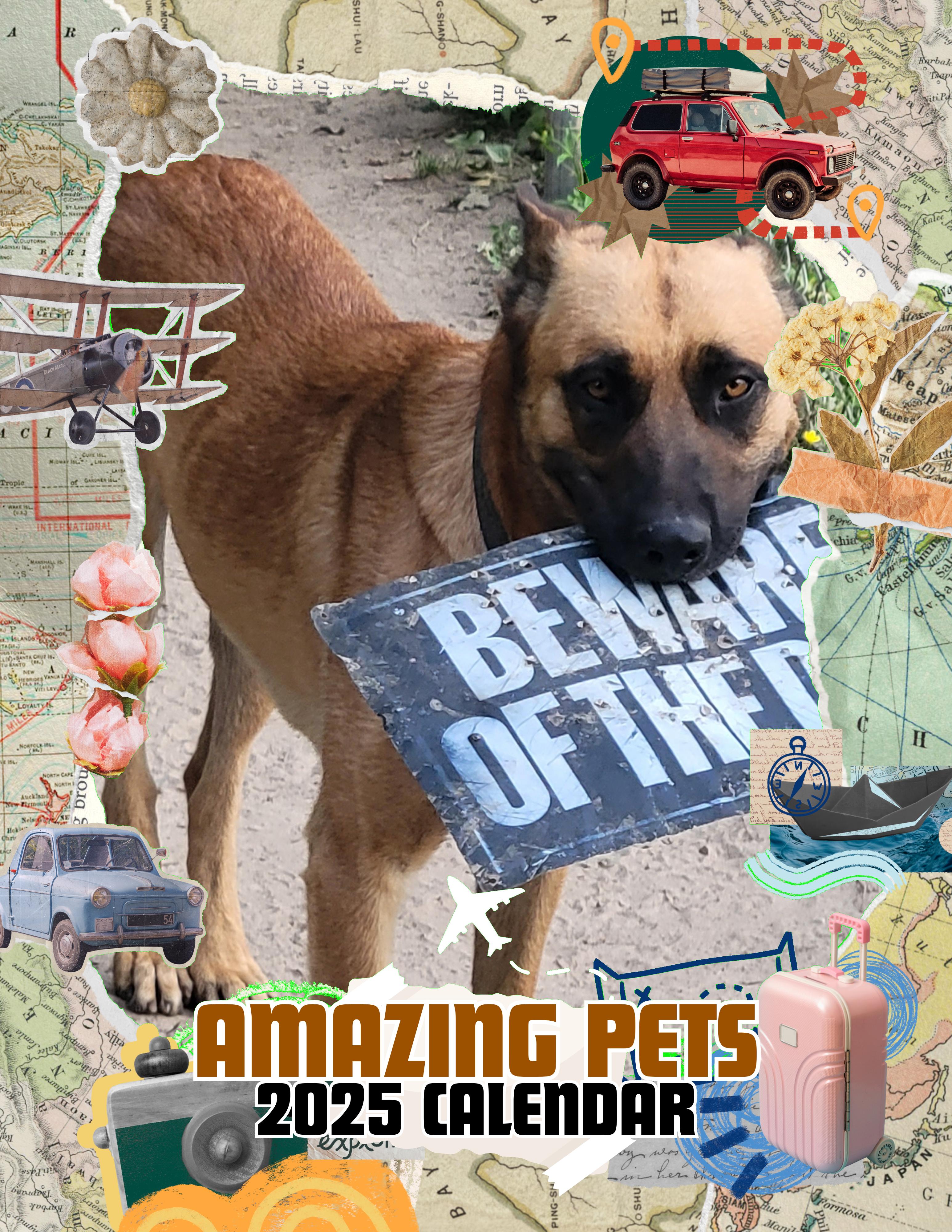 Amazing Pets: 2025 Wall Calendar (Pre-Order)
