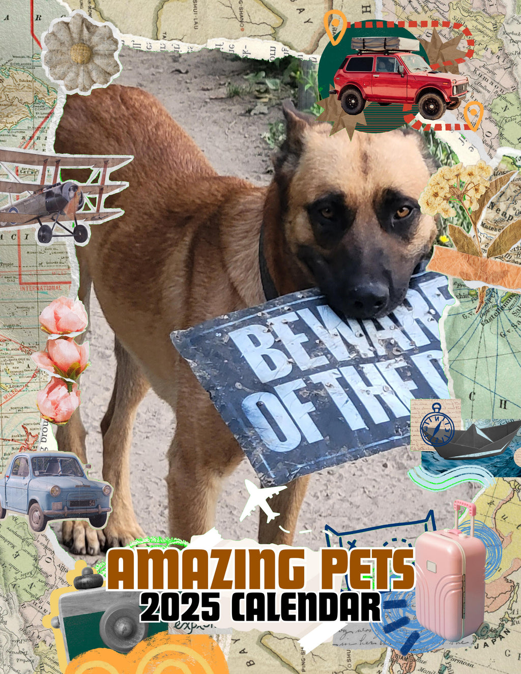 Amazing Pets: 2025 Wall Calendar (Pre-Order)