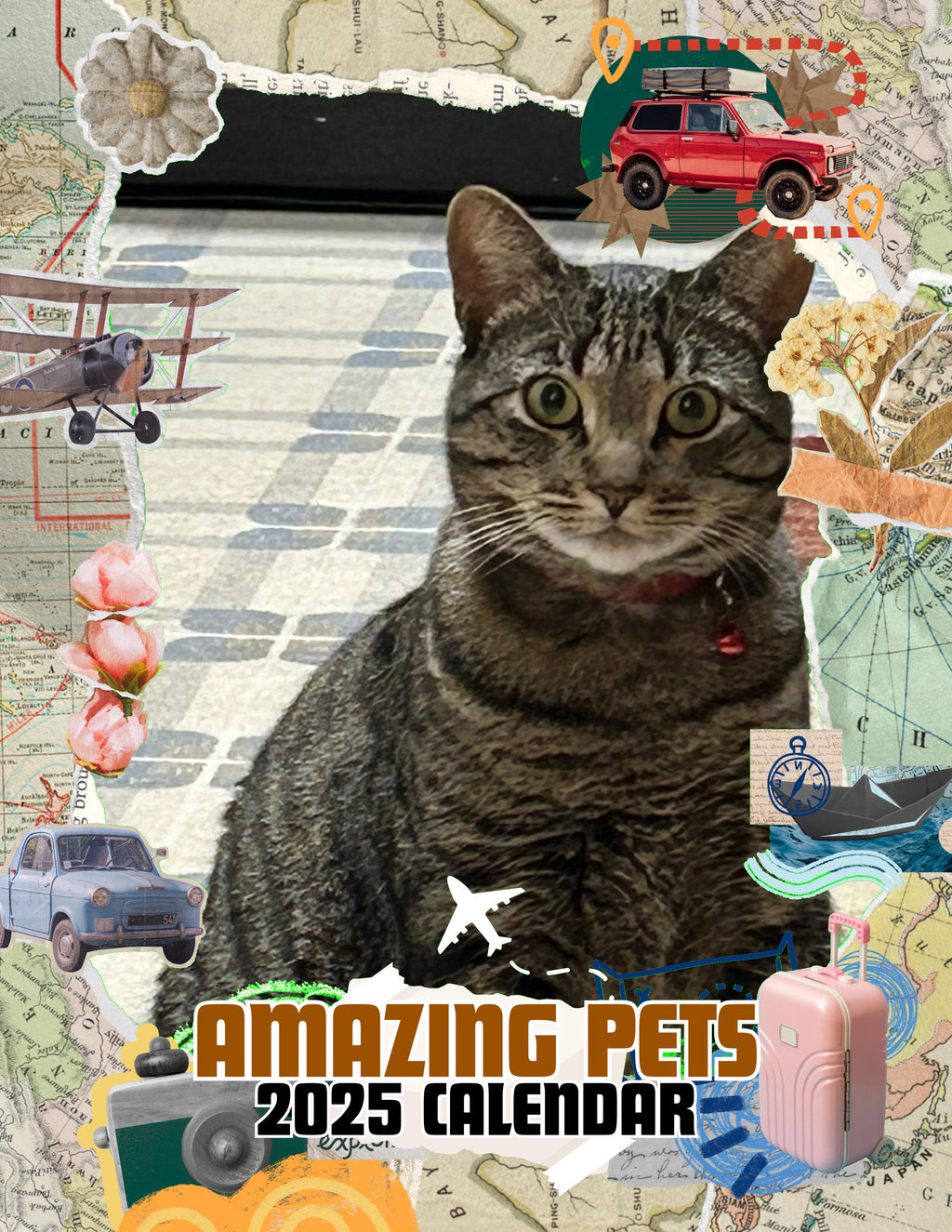 Amazing Pets: 2025 Wall Calendar (Pre-Order)