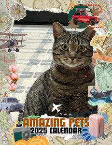 Amazing Pets: 2025 Wall Calendar (Pre-Order)