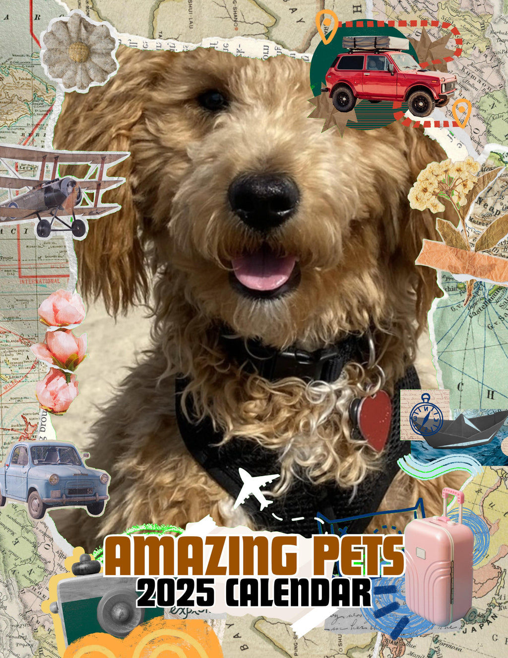 Amazing Pets: 2025 Wall Calendar (Pre-Order)