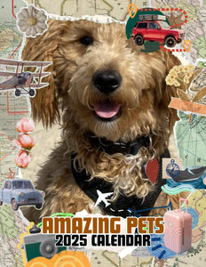 Amazing Pets: 2025 Wall Calendar (Pre-Order)