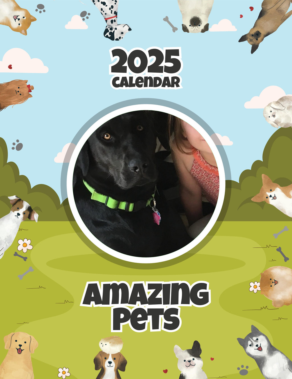 Amazing Pets: 2025 Wall Calendar (Pre-Order)