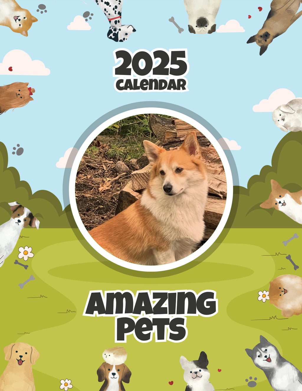 Amazing Pets: 2025 Wall Calendar (Pre-Order)